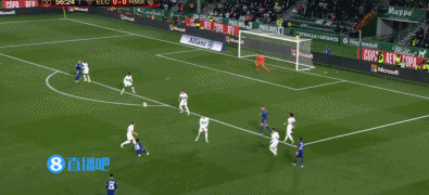 篮球篮网球迷热议球队表现